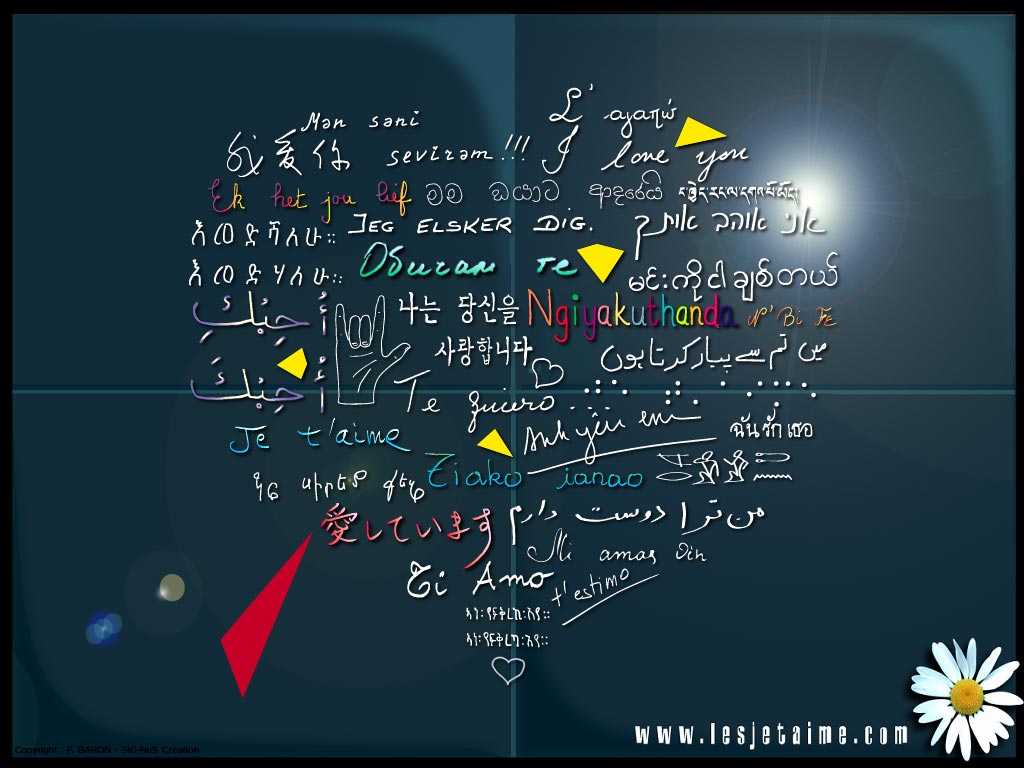 Saying I Love You in Many Languages: The Wallpaper