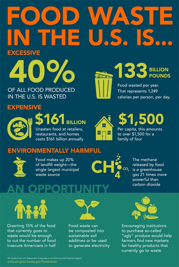 Awareness of food waste can help us appreciate holiday meals | theconversation.com | Office of U.S. Rep. Chellie Pingree